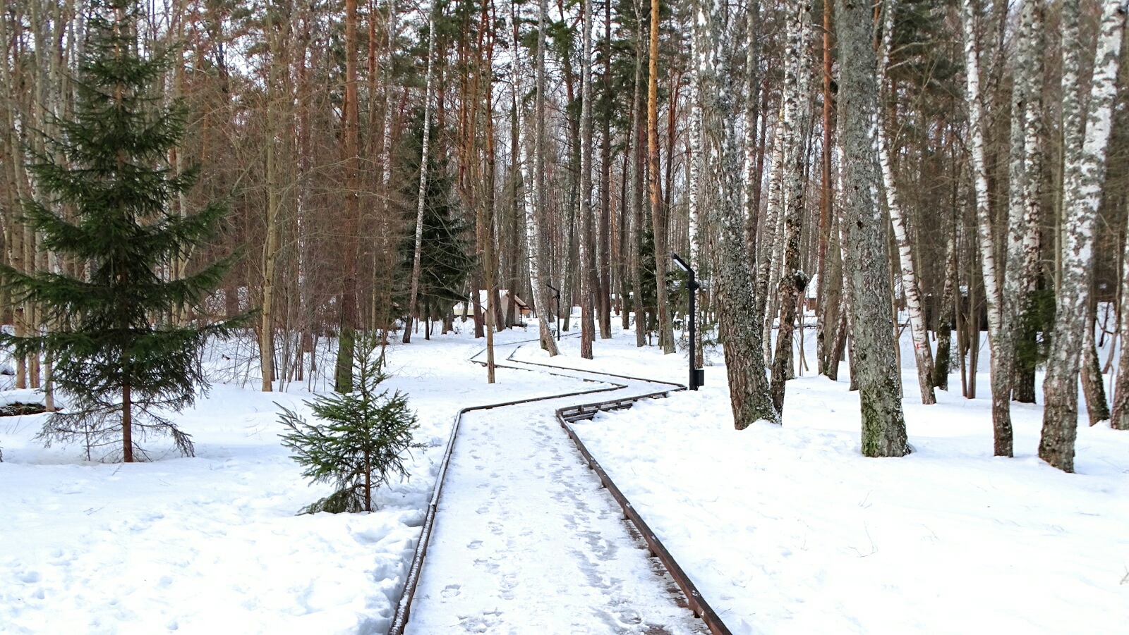 Смоленский Днепр. раздел Природный пейзаж. Смоленская область, Гнёздовский археологический комплекс, 06.03.2026
