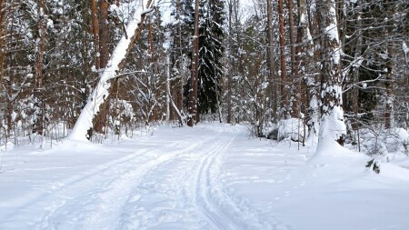 Природа Смоленщины 