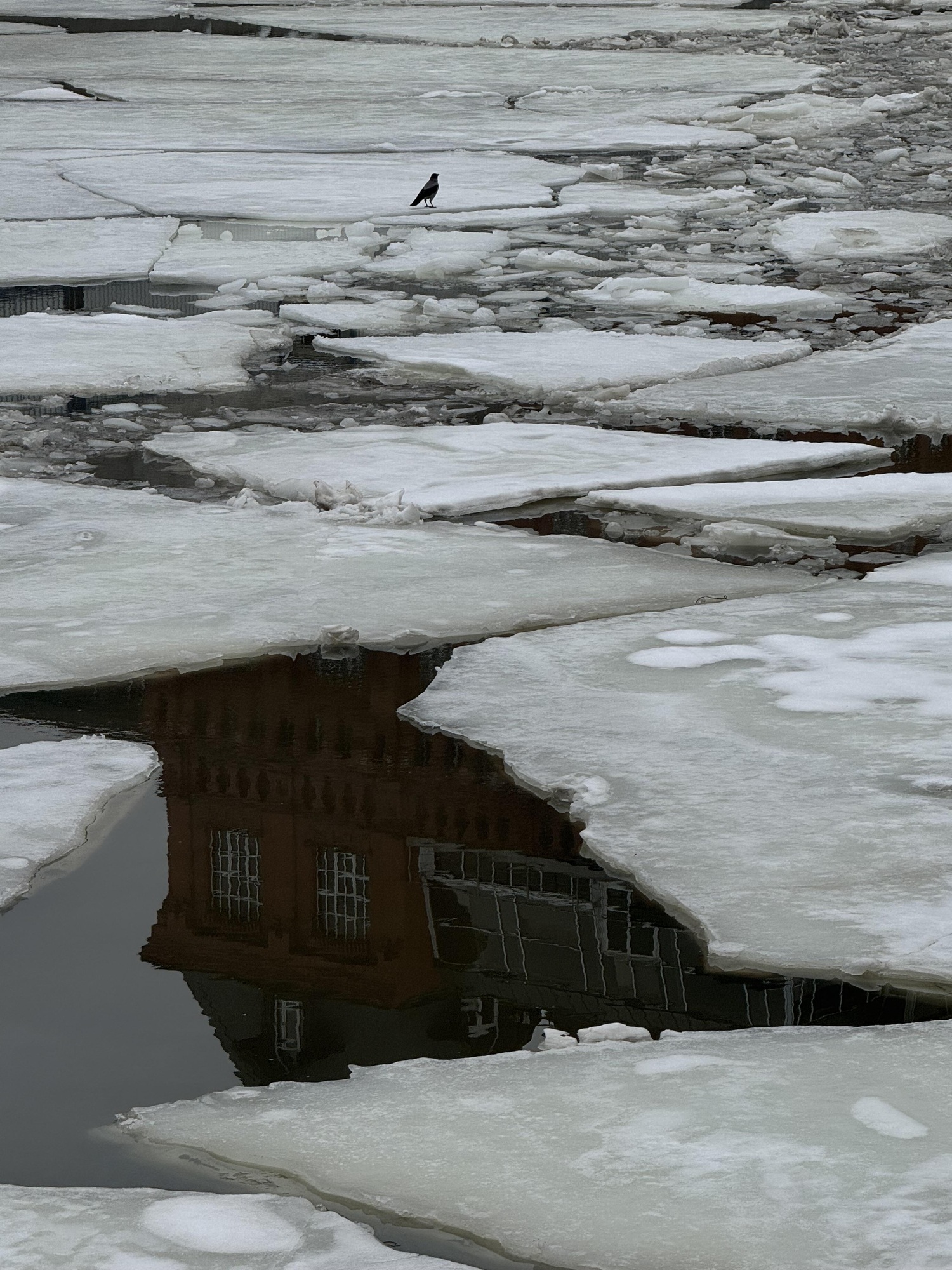 Весна. раздел Городской пейзаж