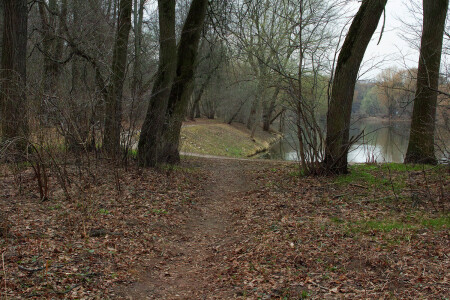 Кузьминский парк
