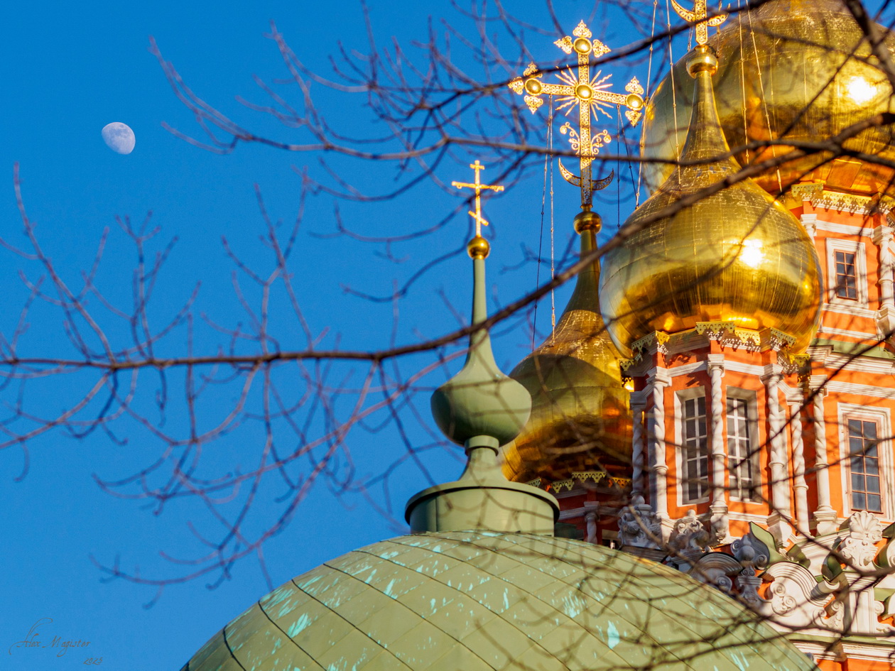 «Лунная соната» раздел «Природный пейзаж, Городской пейзаж». «»