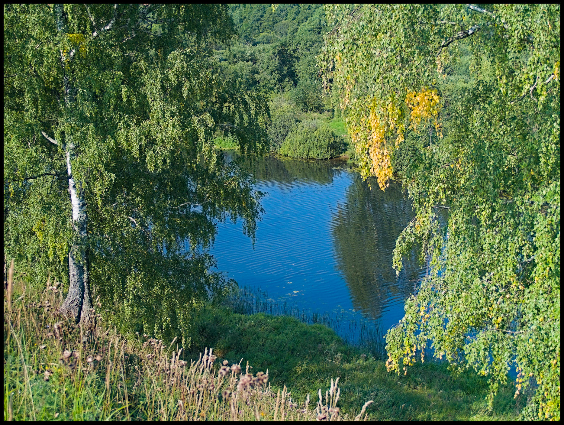Середина лета