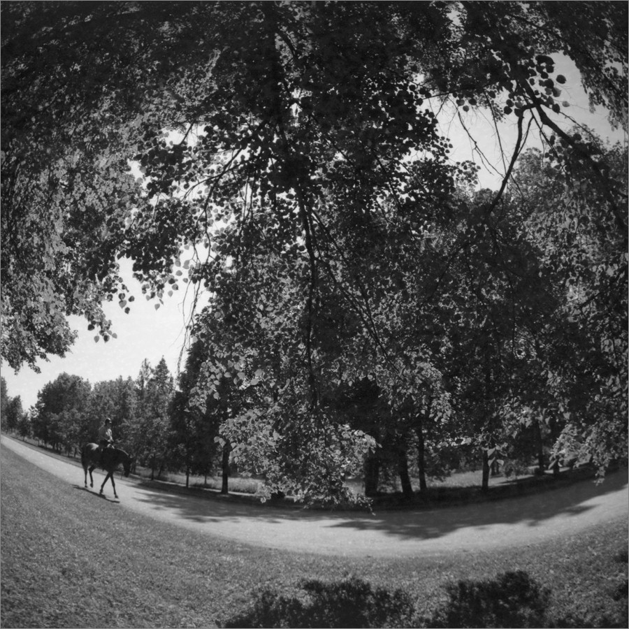 «***» раздел «Природный пейзаж». «Киев-6С + Зодиак-8Б + Свема Фото 32 (09.1977). СПб, 2025г.»