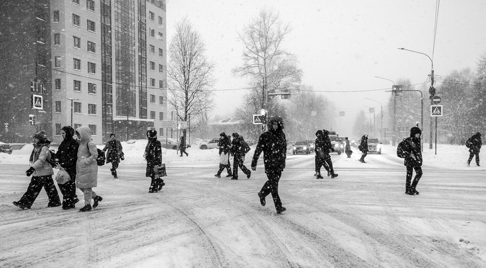 «Снегопад» раздел «Жанр». «»