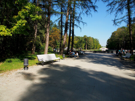 Кусковский лесопарк
