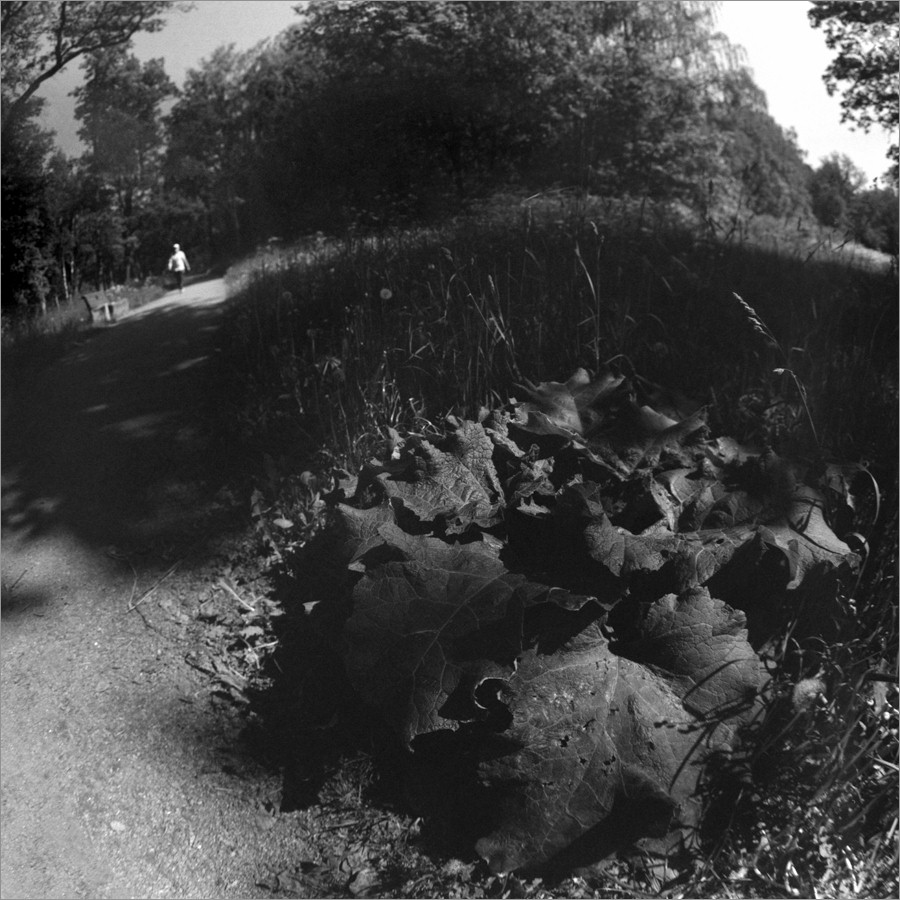 «***» раздел «Природный пейзаж». «Киев-6С + Зодиак-8Б + Fomapan 400. СПб, 2025г.»