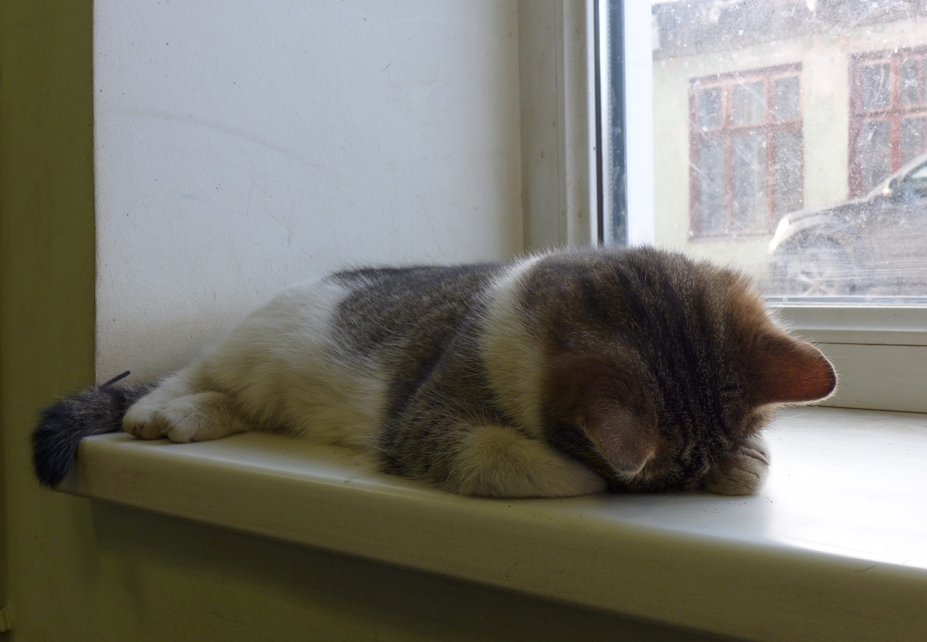 Мартовское утро