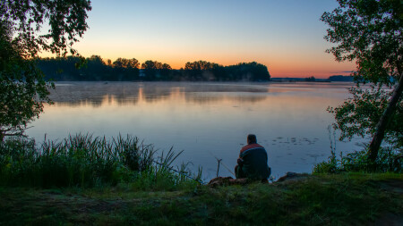 ***