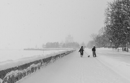На набережной Архангельска