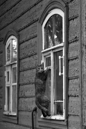 А я чё? Я домой..