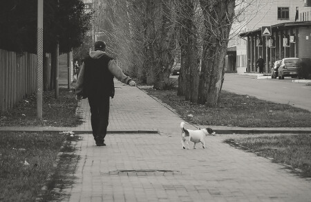  Прогулка