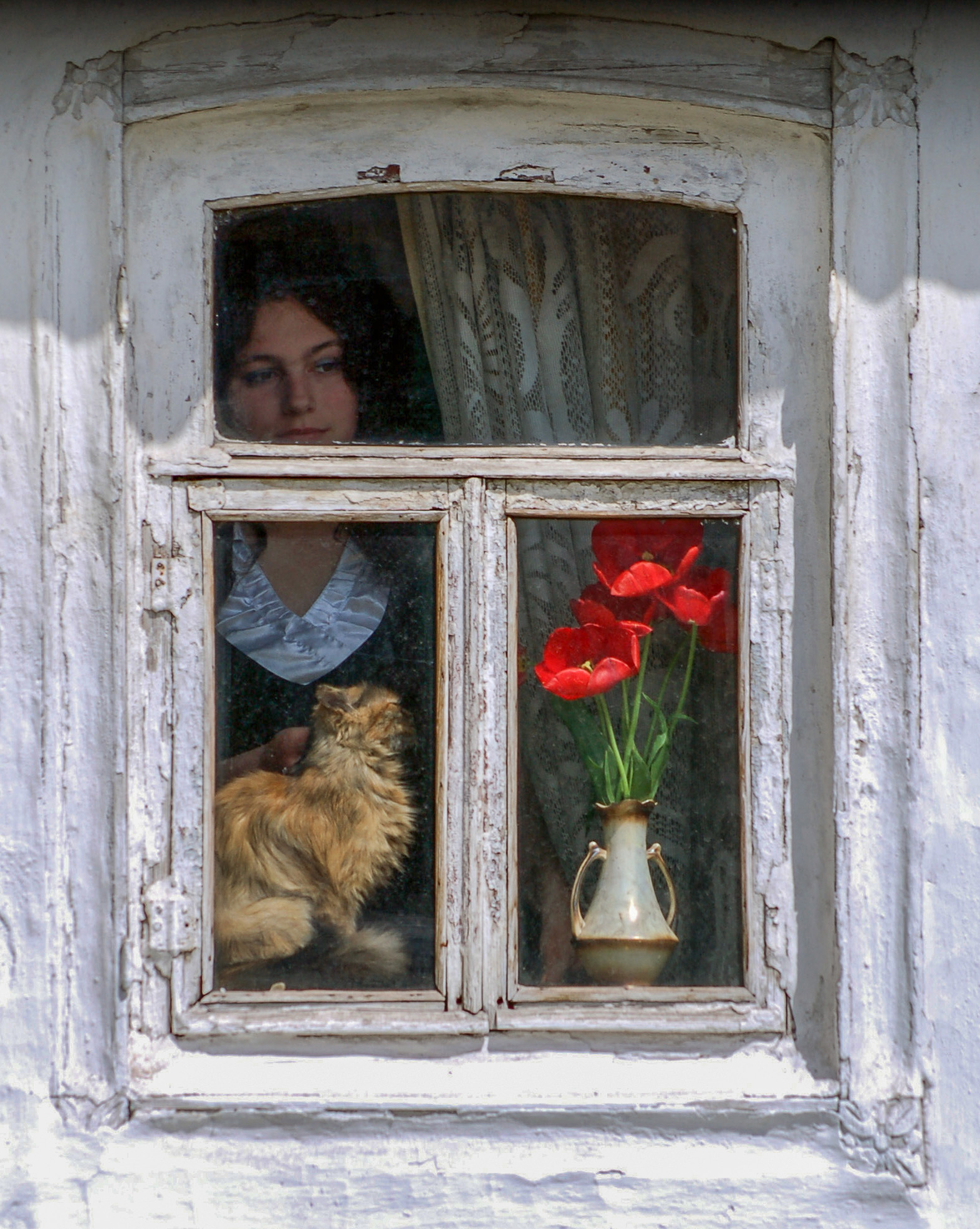 Женщина в окне.