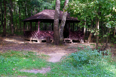 Кузьминский парк