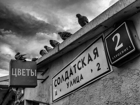 Цветы
