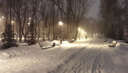 Заметает