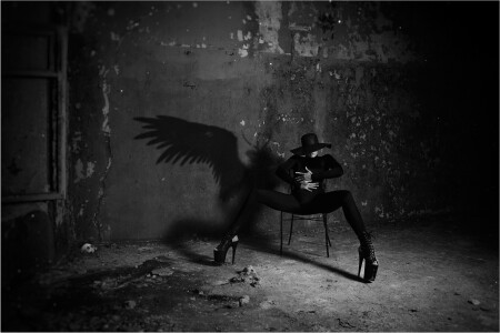 The Demon Angel