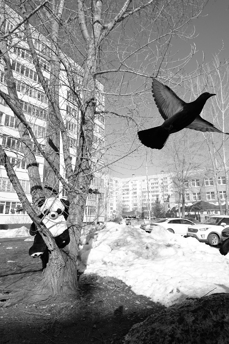 «Доброе утро» раздел «Фото не для всех». «»
