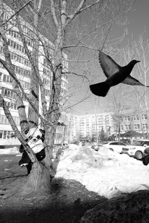 Доброе утро