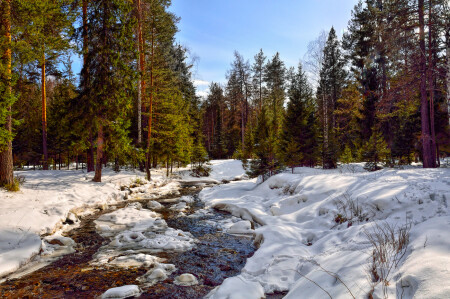 Весенняя речка