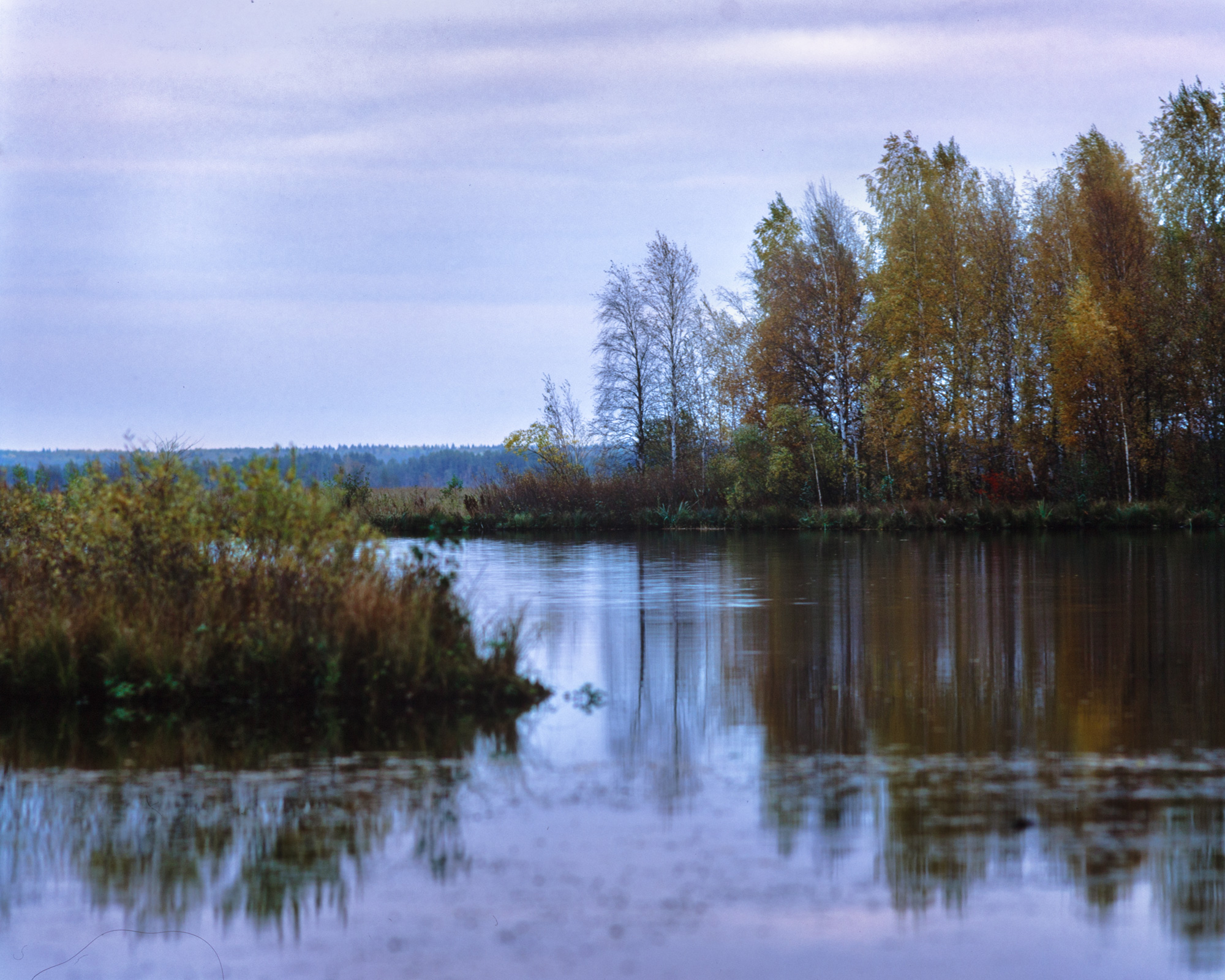 «Осенняя хандра» раздел «Природный пейзаж». «IMG_1630Pentax 67SMC Takumar 4/400Velvia 50- - -В синей воде - светБелых берёз, осень мнеШлёт печаль свою.»