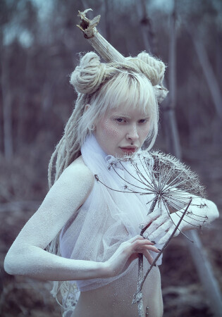 Follow the white rabbit