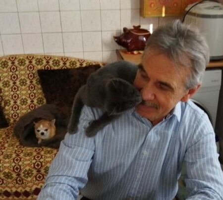 Кошачья нежность.