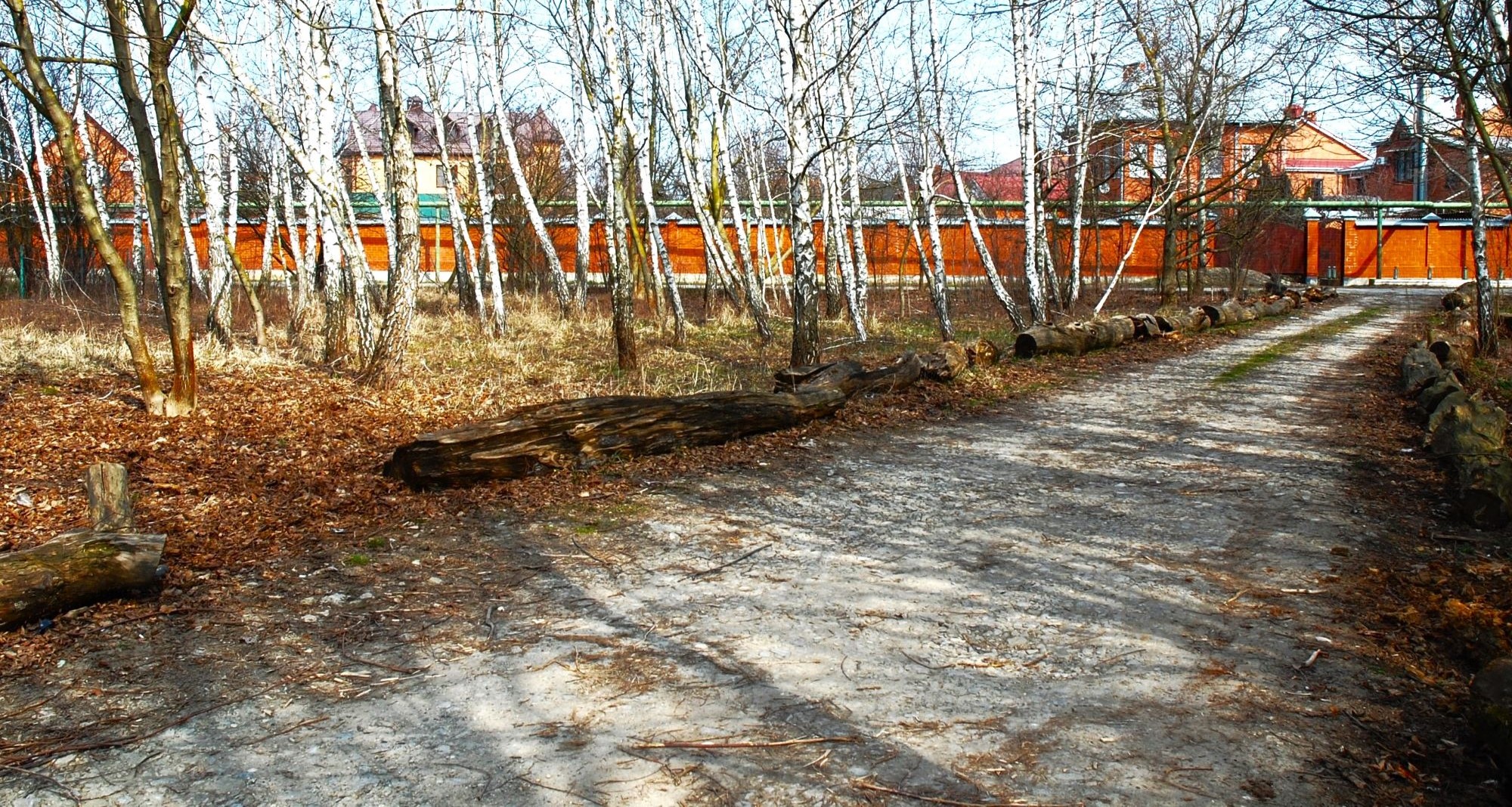 «Лесная дорожка.» раздел «Природный пейзаж». «»