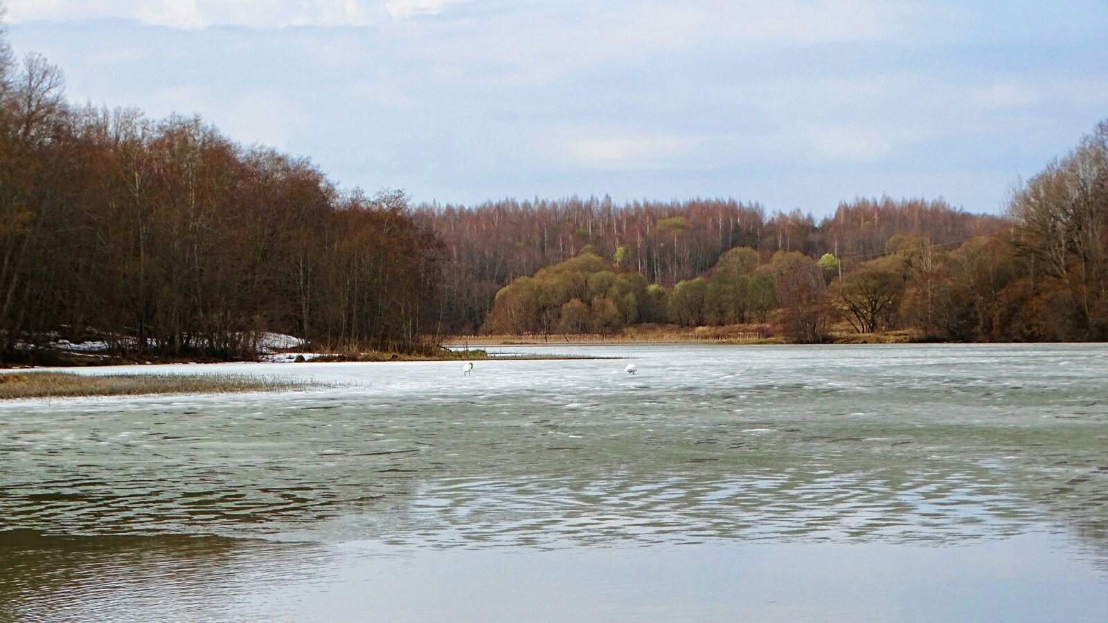 Природа Смоленщины 