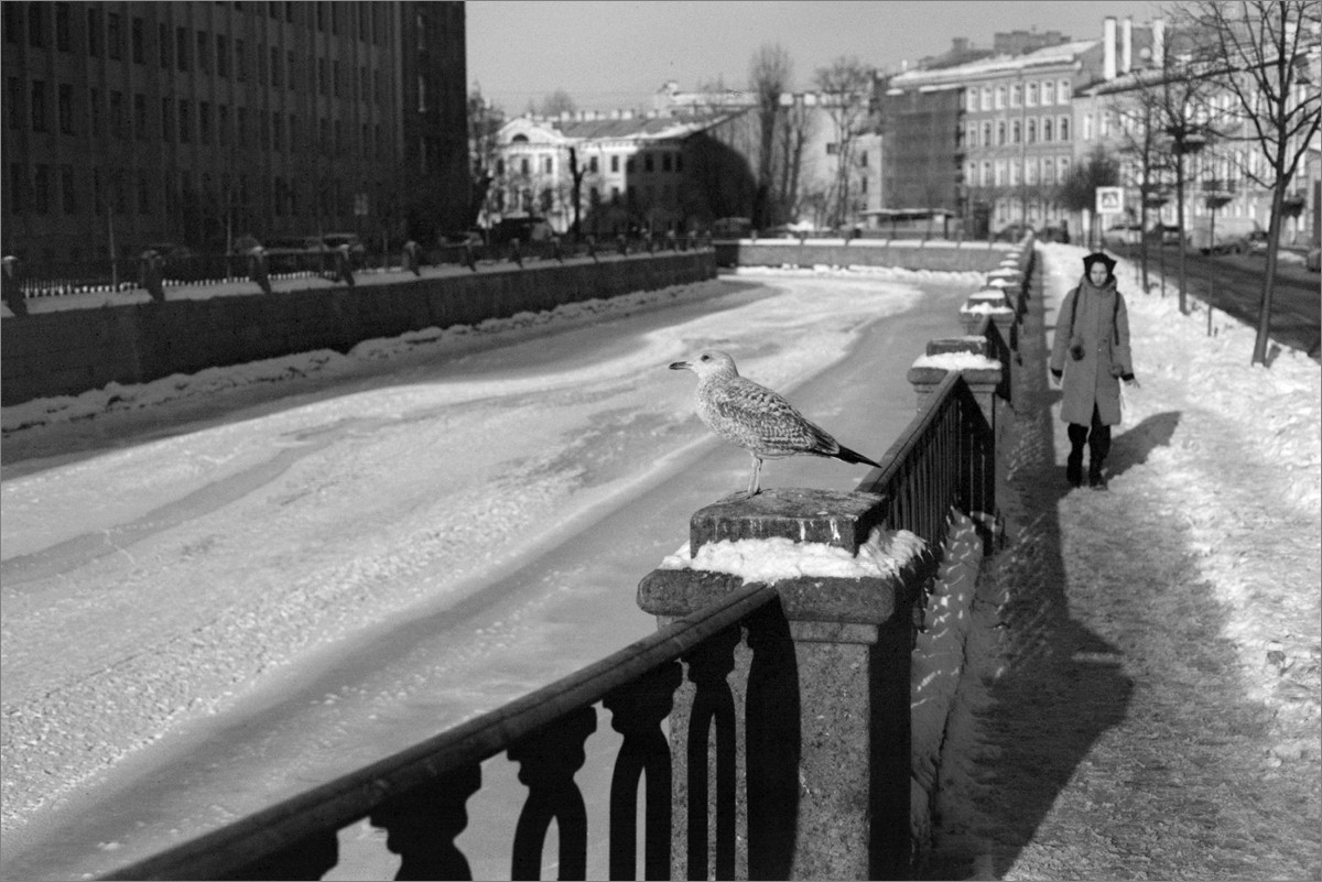«***» раздел «Городской пейзаж». «Canon FTb QL + Canon FD 50mm/1.8 + Микрат-200 (03.1969,iso12). СПб, 2025г.»