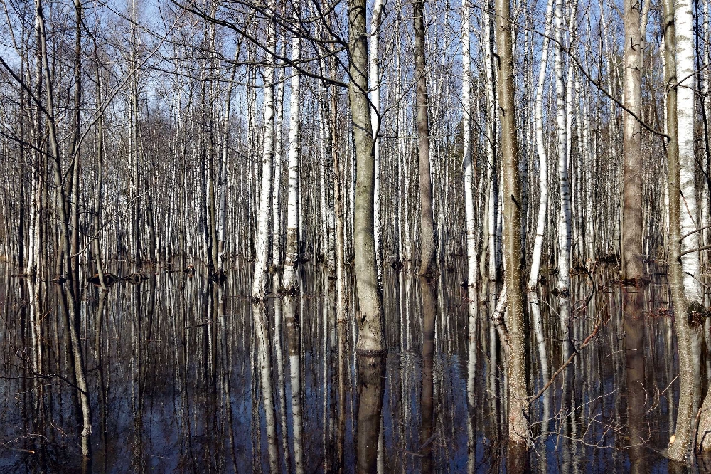 Половодье.