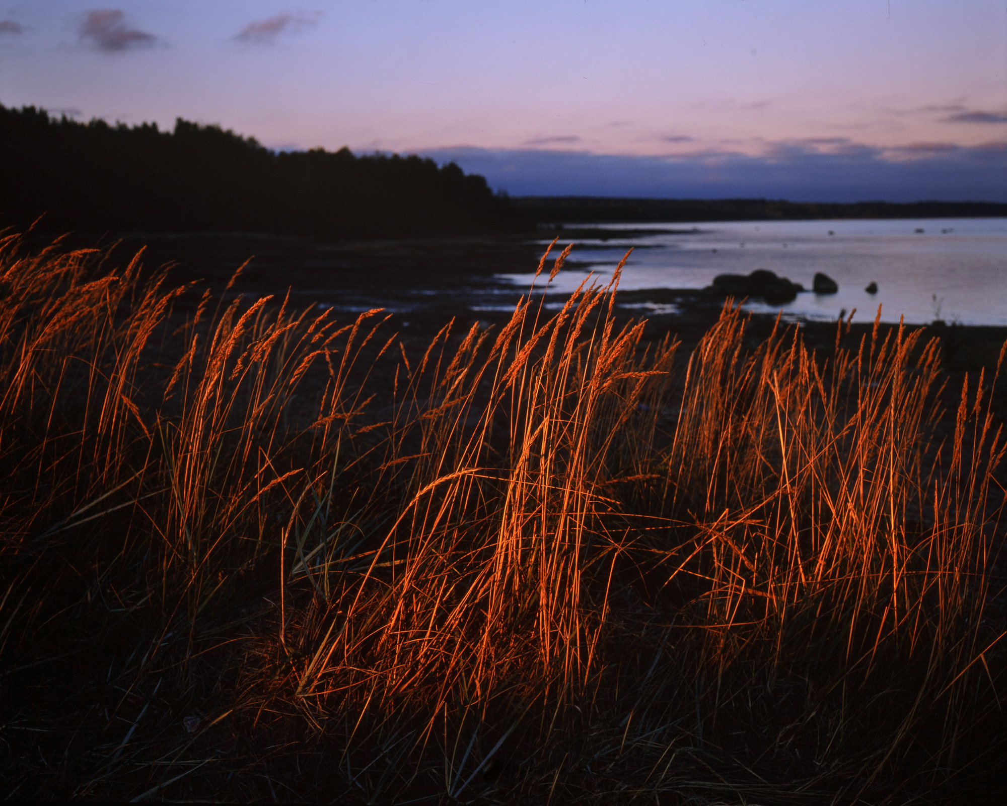 «Закатный свет» раздел «Природный пейзаж». «IMG_2247Pentax 67SMC Pentax 2,8/90Fuji Velvia 50»