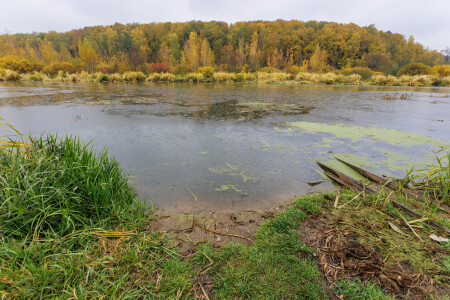Осенняя Клязьма, дикий пляж и дождь