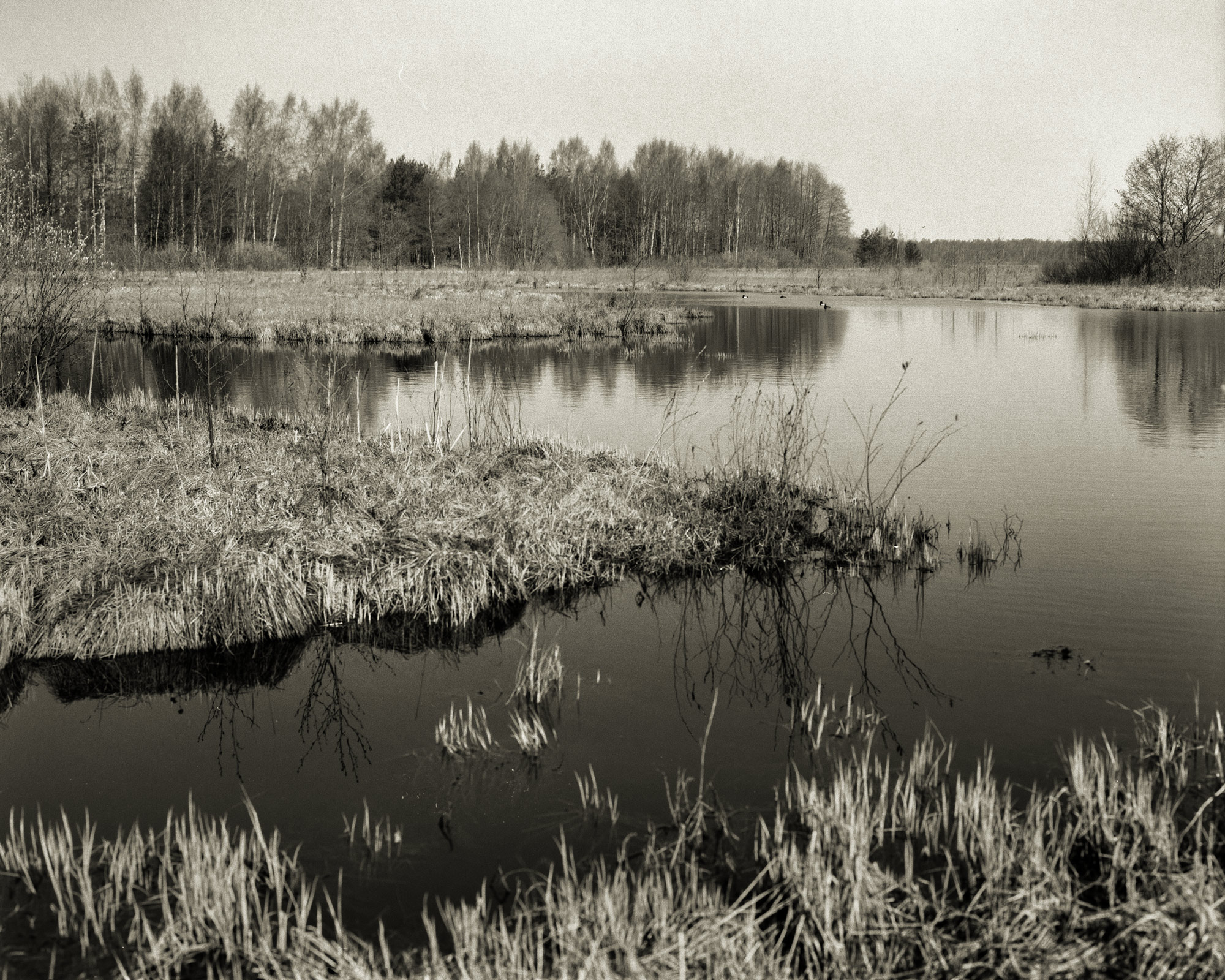 «Вешние воды» раздел «Природный пейзаж». «IMG_1083Pentax 67SMC Pentax 2,8/90Kodak T-Max 100»