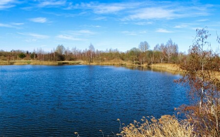 Природа Смоленщины 