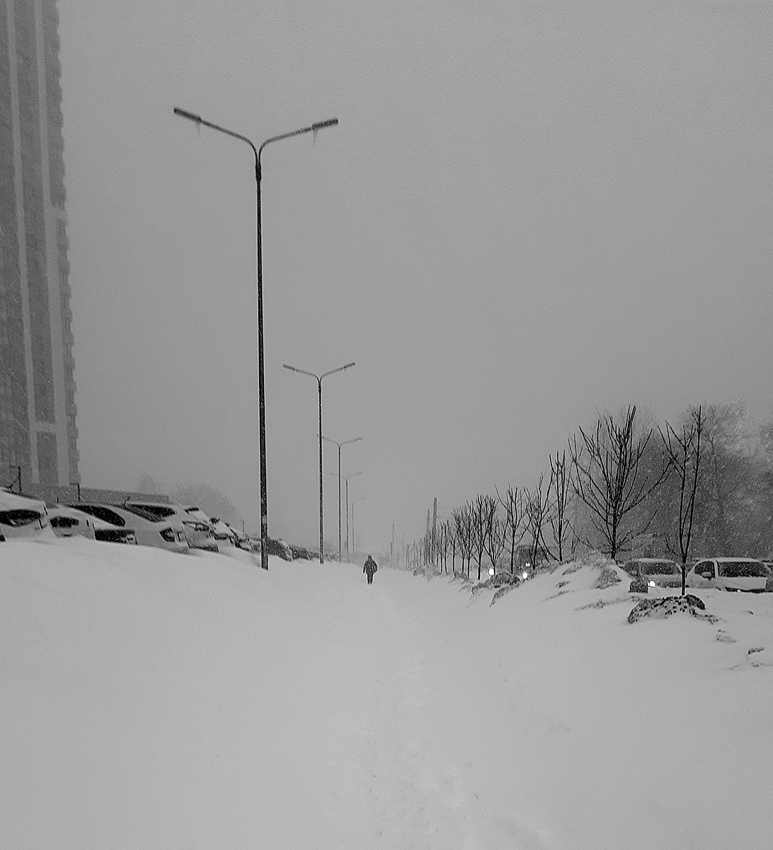 «*» раздел «». «»