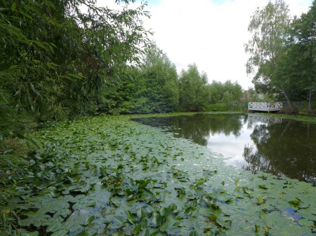 Пруд в Маринино
