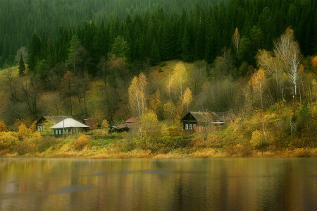 Золотая осень