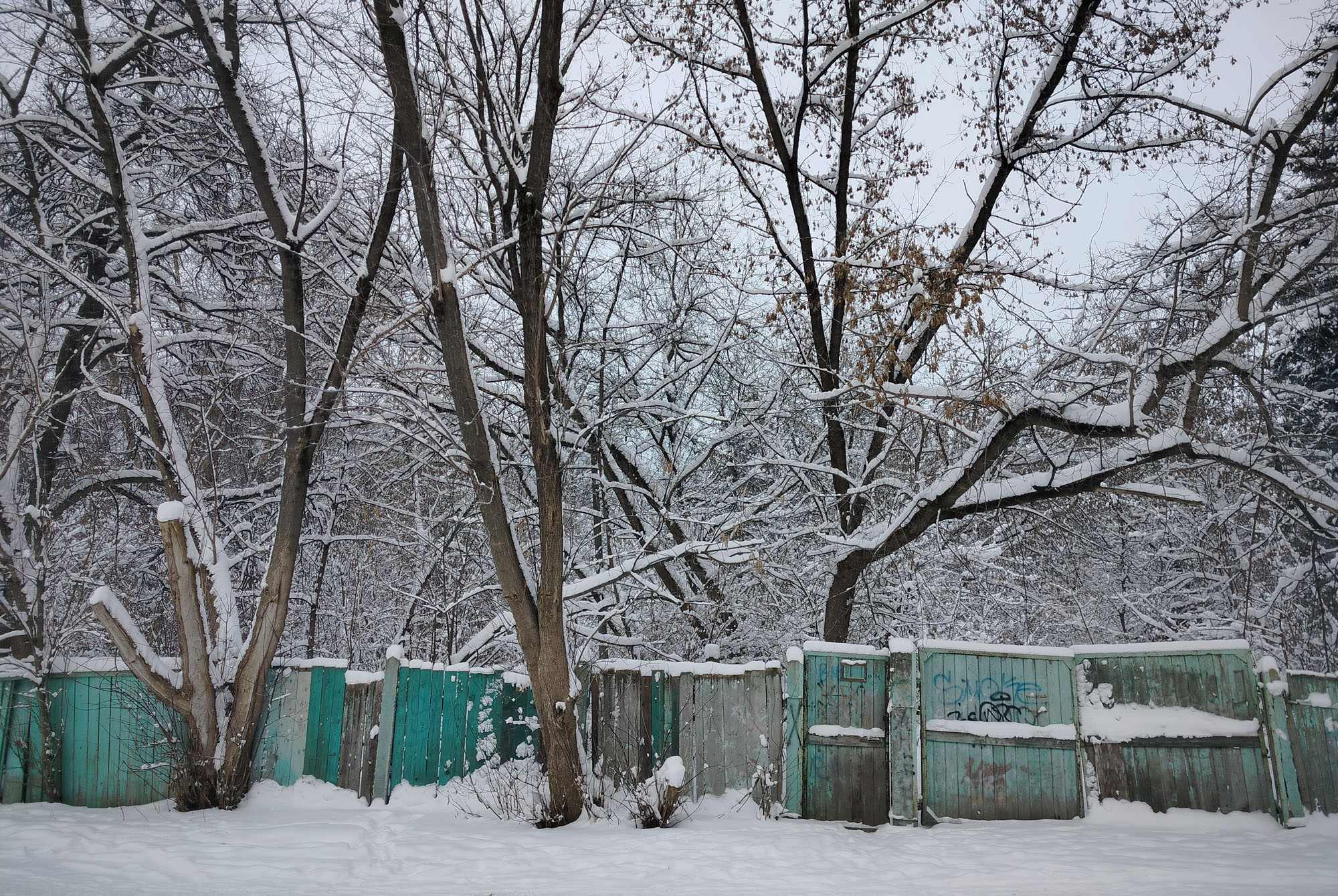 «Загадочный забор» раздел «Природный пейзаж, Жанр, ФотоОхота». «Мой блог на Ютубе http://youtube.com/user/PetrovDesign5Моя страничка на Кинопоиске http://kinopoisk.ru/name/3394480Моя страничка на ВК https://vk.com/petrovdesign»