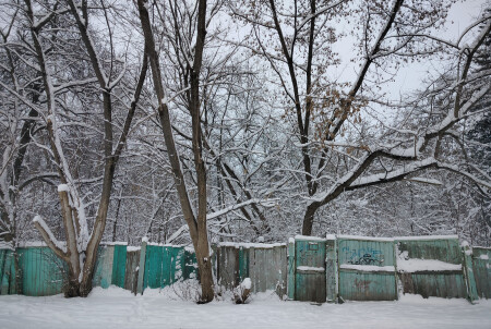 Загадочный забор