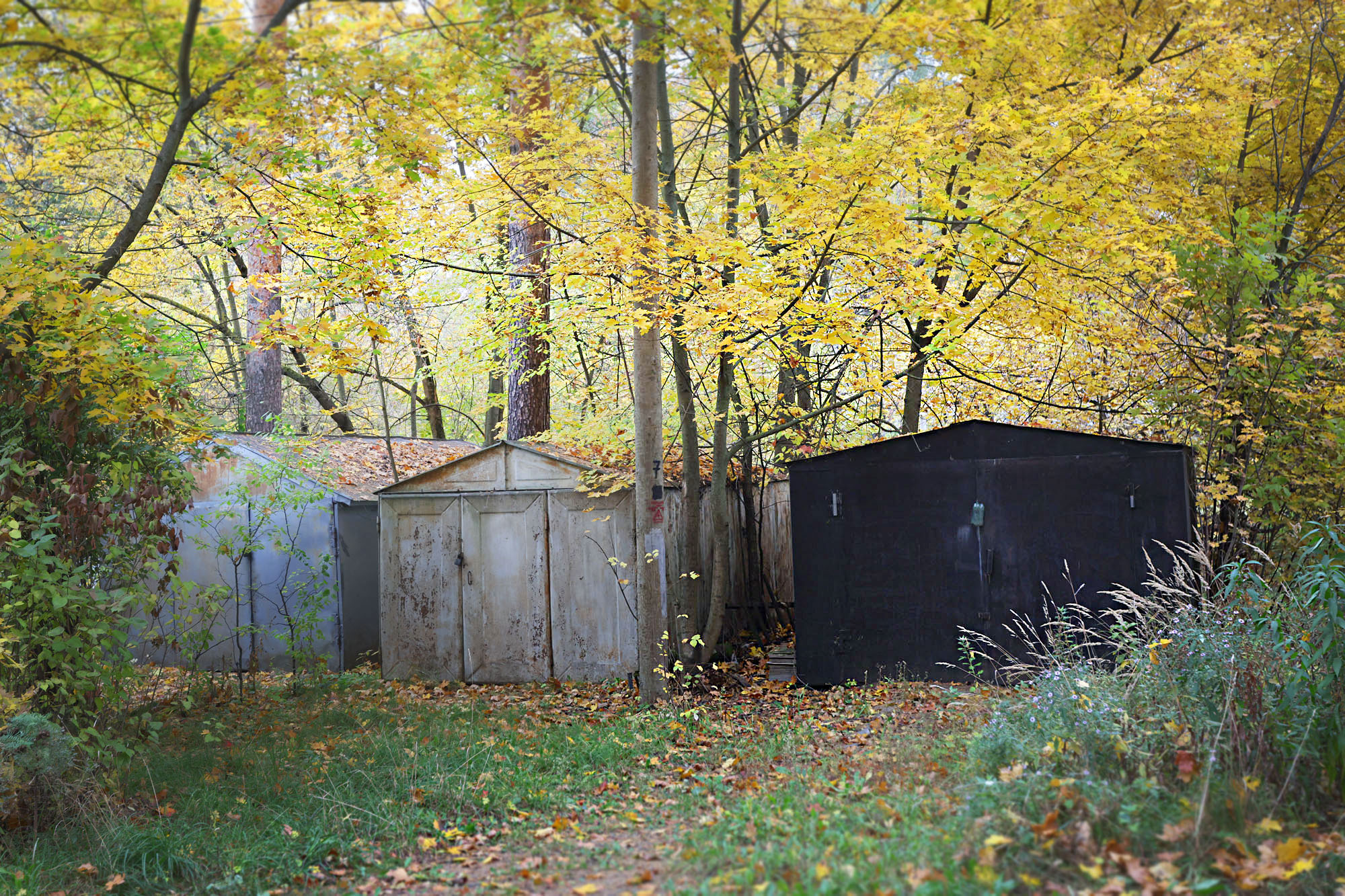 «Брошенные гаражи» раздел «ФотоОхота, Городской пейзаж». «Мой блог на Ютубе http://youtube.com/user/PetrovDesign5Моя страничка на Кинопоиске http://kinopoisk.ru/name/3394480Моя страничка на ВК https://vk.com/petrovdesign»