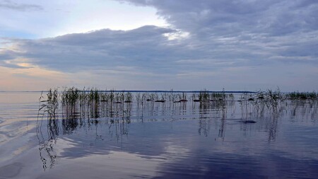 Белая ночь в Заонежье