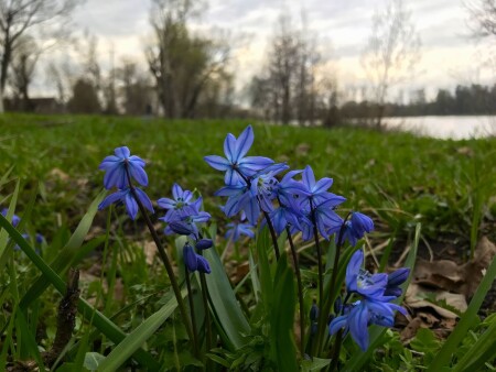 Апрель