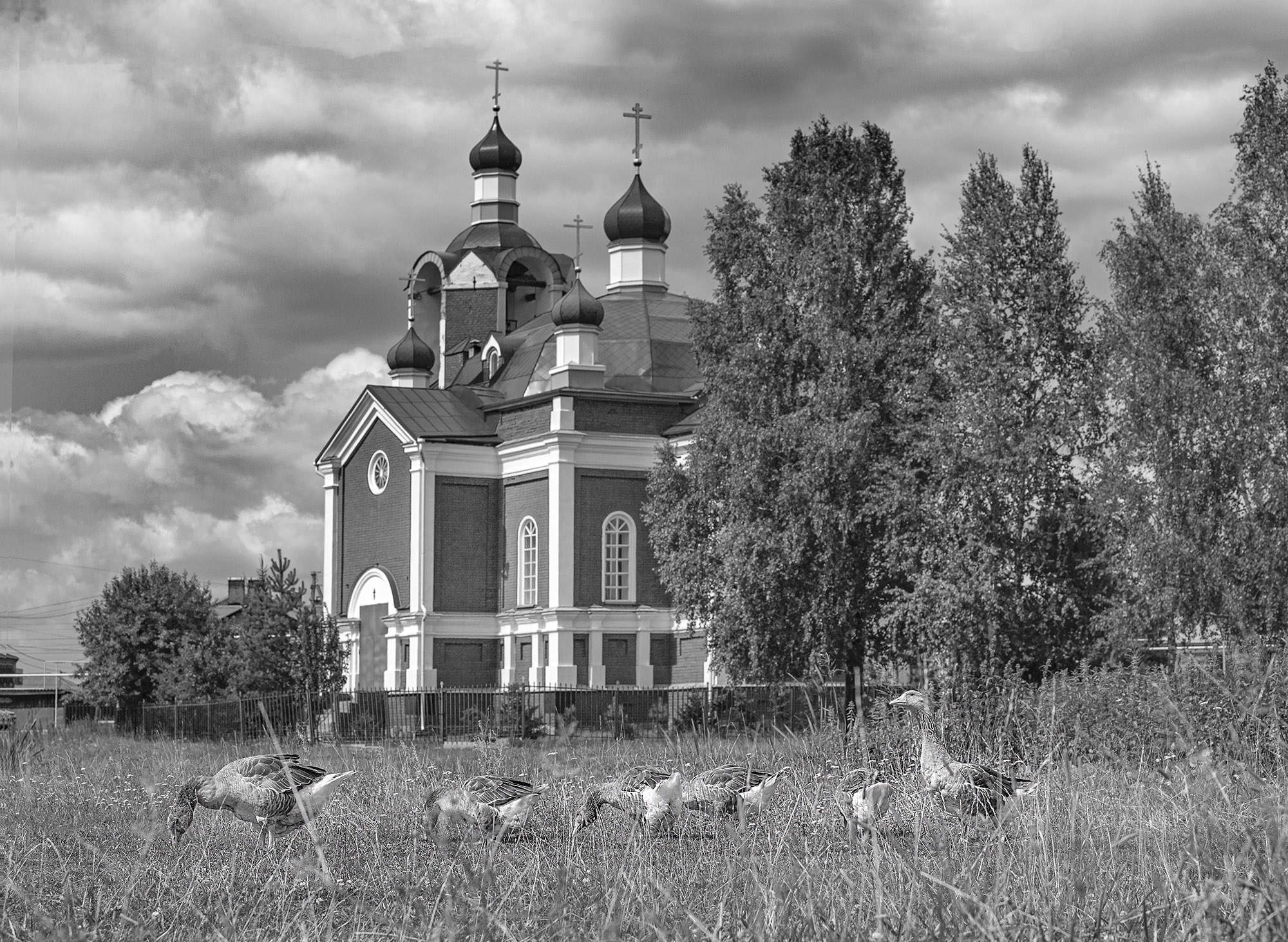 «Лето в Быньгах» раздел «Природный пейзаж». «»