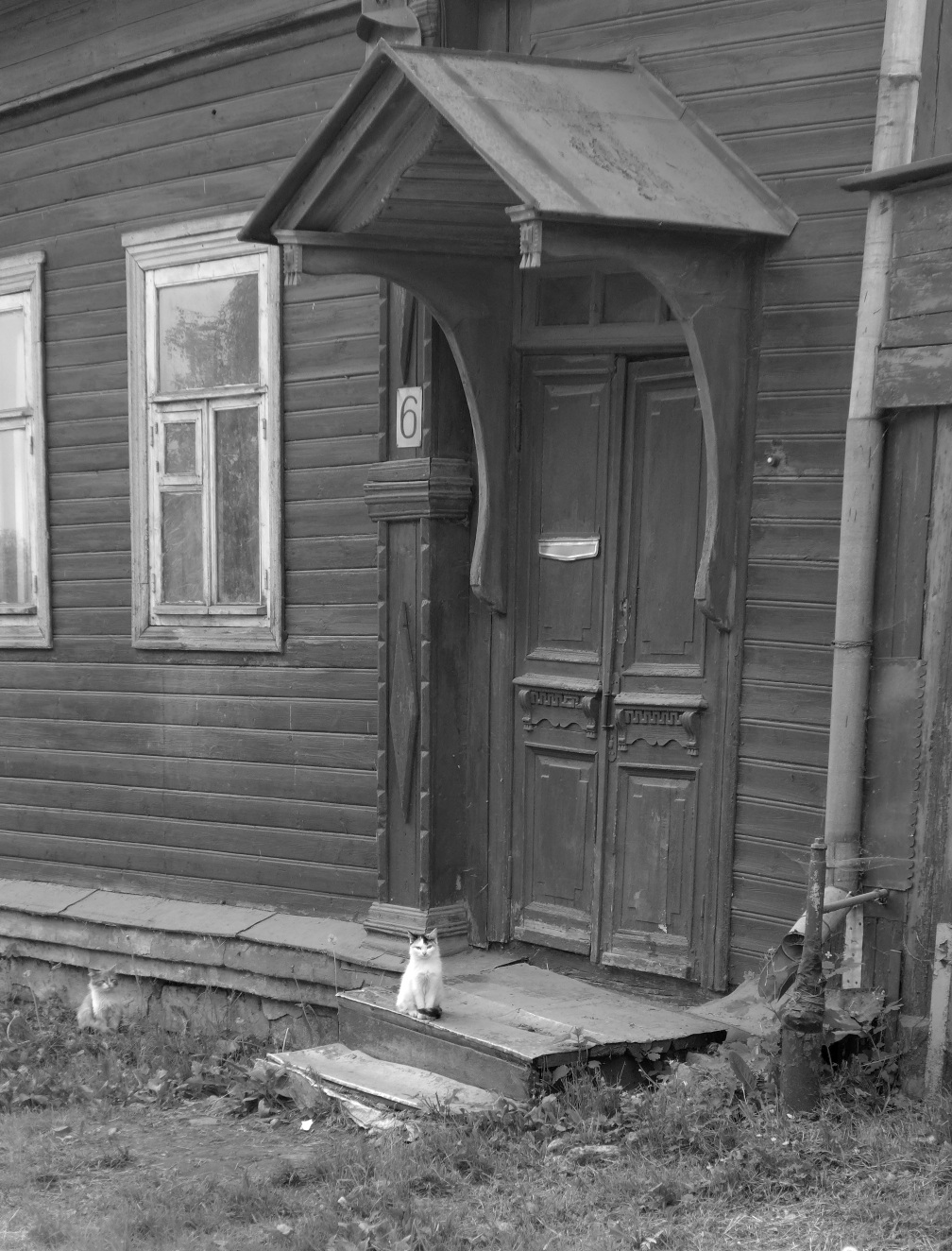 «Кашинские кошки» раздел «Разное». «»