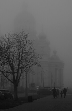 Без названия.