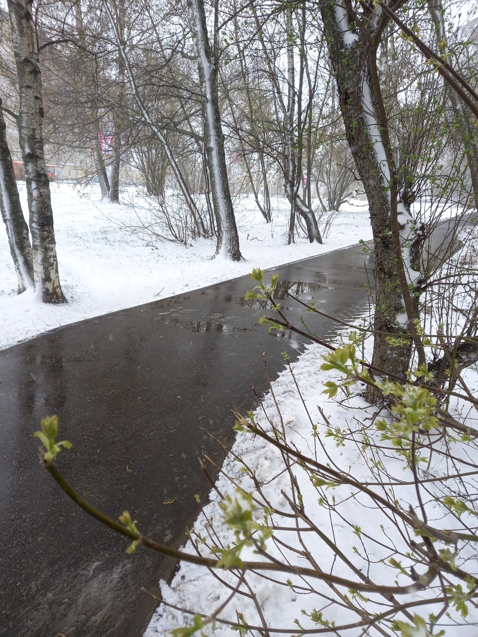 «Апрель» раздел «Городской пейзаж». «»