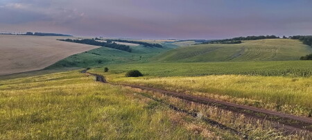 Дорога в Сказку
