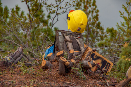 ***