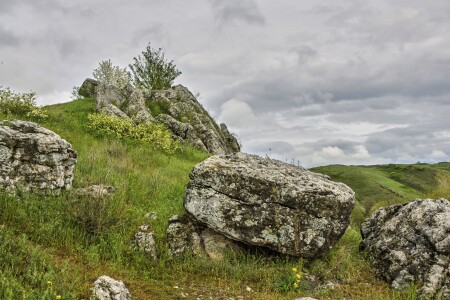 Времён безмолвные свидетели