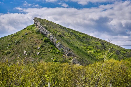 Гребень